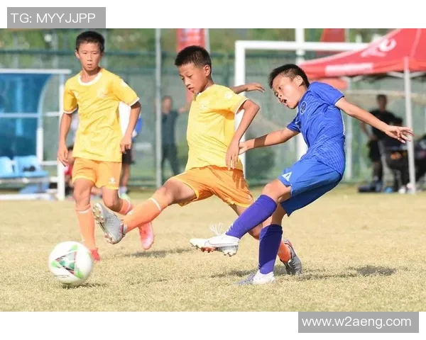 中国足球的发展困境与未来：是否真的不需要球星的存在